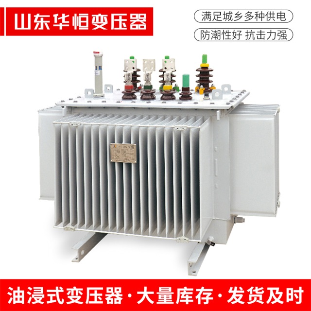 S13-10000/35虎林虎林虎林电力变压器